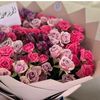 almoot56