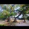dinhphongba83