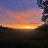 olivia_wincek