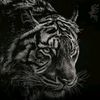 isaias_delcastillo