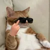 coracaosemnome