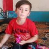 arib79
