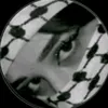 1....amal....1