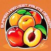 summerharvest_fruits