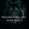 sezer335