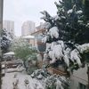 jhonkurd1