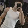 davi_maciels0