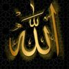 allah_akbar711