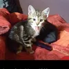 titilou6