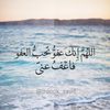 nagwayoussef1