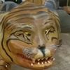 brandoncb378