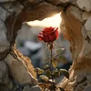 ibrahim__zaxo
