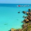 zigra_98