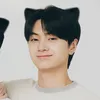 minijjongcat