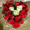 user8122356022239