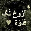 5__mvv