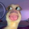 aaayuuuuuuuu0