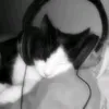 wordsfail_music_speaks