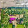 nguyenphuc02029