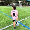 melatisianturi13