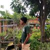 chadon270