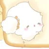 rinchacha___