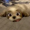 helloitslbo