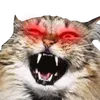 Ontude