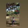 quanghung227