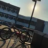 lion.yt.industries