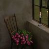 alolo_773