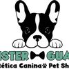 Mister Guau