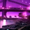 hussam_alzubaidy