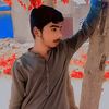 Sikandar Hayat