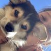 emilie_dsstt