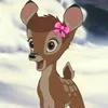 douae._.dodo