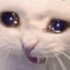 emogirl154