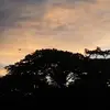 c3o.o9