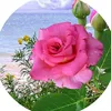 fatema_ali9