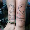 anded2614