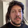 liljellyshark