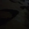 jaquesilva.6