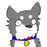 huskybui