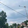 trisari024