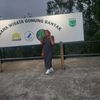 tantecah