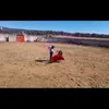 pablo_vaquero5