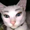 _fwxry
