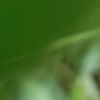 ziqqjee_9