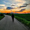 thebogdanstosic