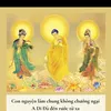 quehuongtayphuongcuclac